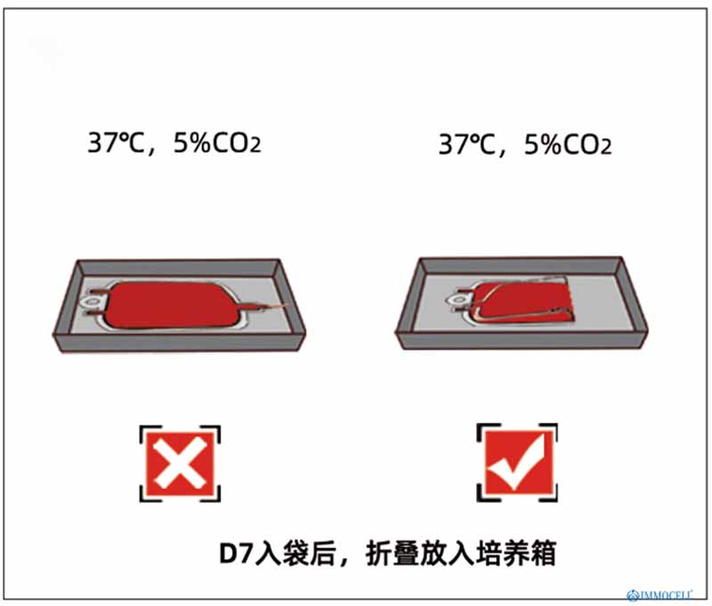 nk细胞培养期间需注意