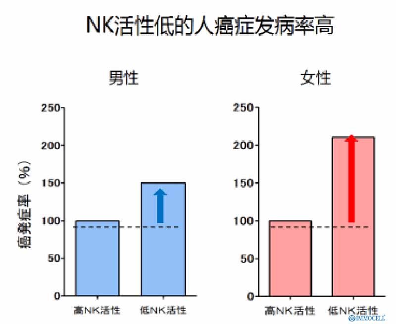 NK细胞的应用图片