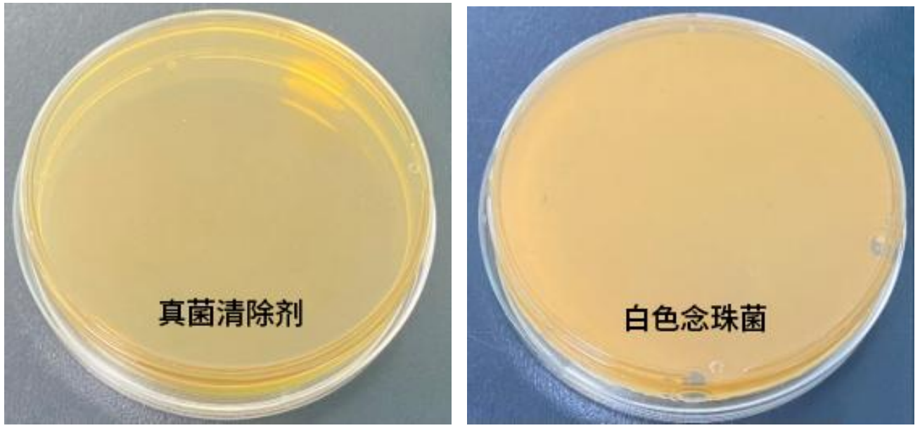 真菌清除剂产品效果图2