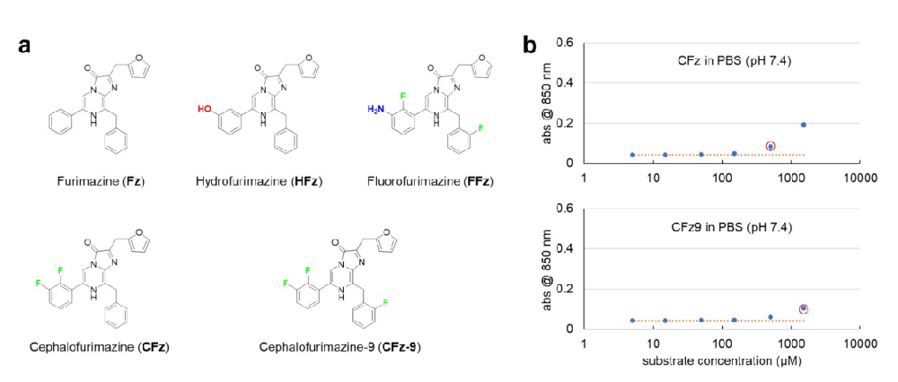 图1：氟化修饰显著增强CFz9的溶解性能