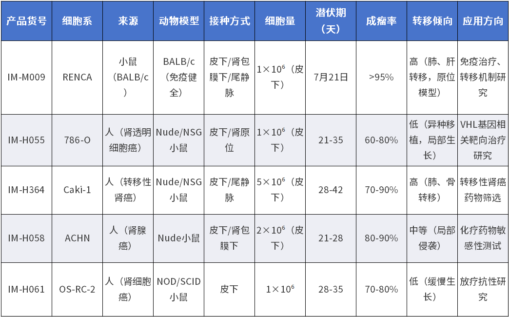 小鼠肾癌细胞株成瘤特性差异对比(仅供参考)