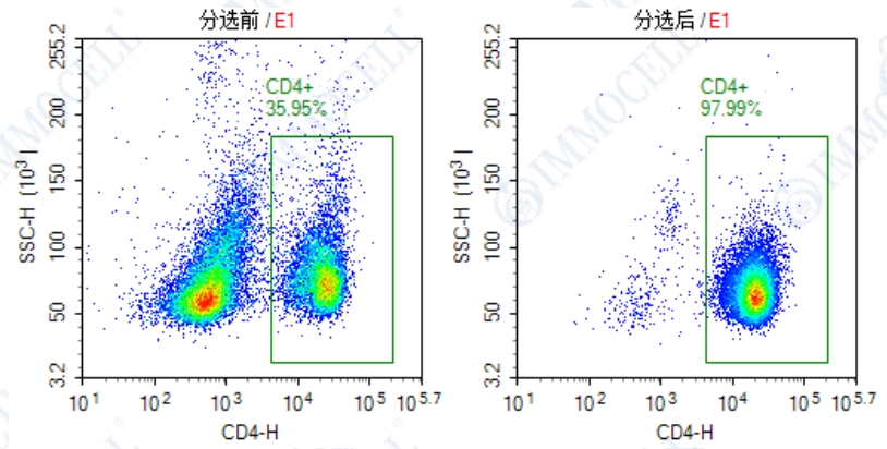人外周血中的CD4+ T细胞进行流式细胞分析检测显示