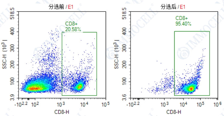 人外周血中的CD8+ T细胞进行流式细胞分析检测显示图片