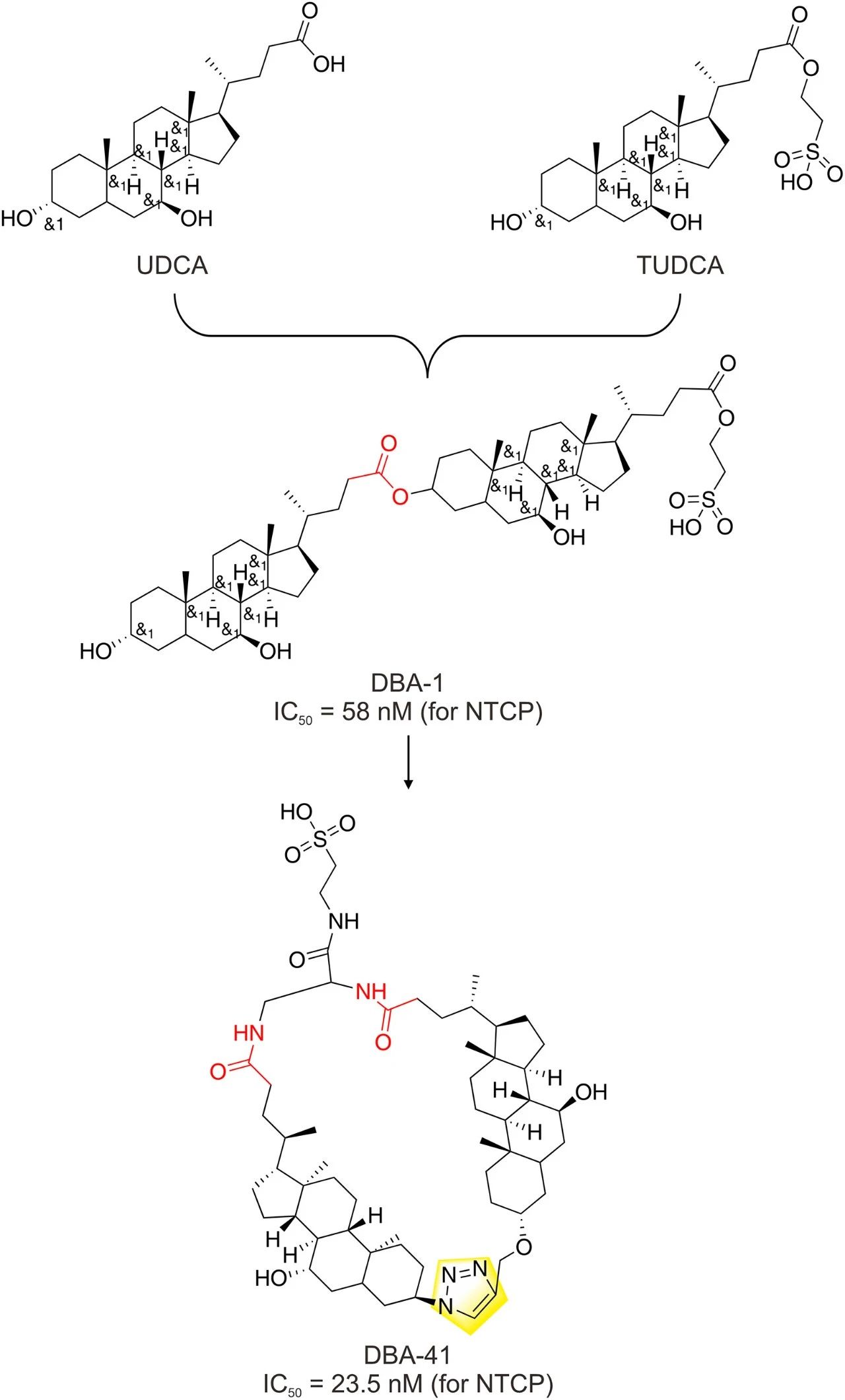 图7：二聚体胆汁酸衍生物(DBA-41)的设计与合成