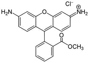 图1. Rhodamine 123的化学结构式和激发、发射光谱图。
