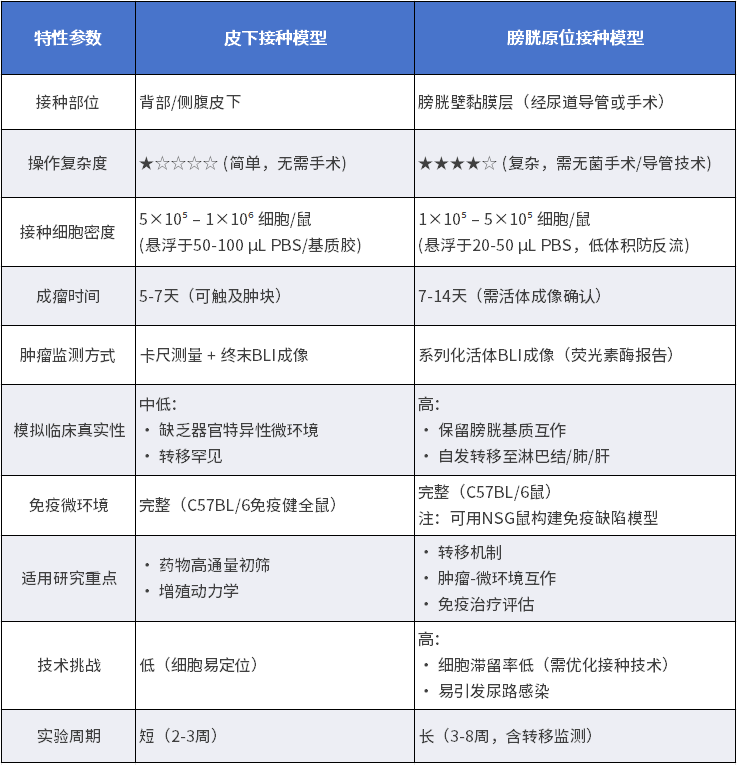 MB49-FLUC-puro细胞系不同接种方式成瘤特性(仅供参考)