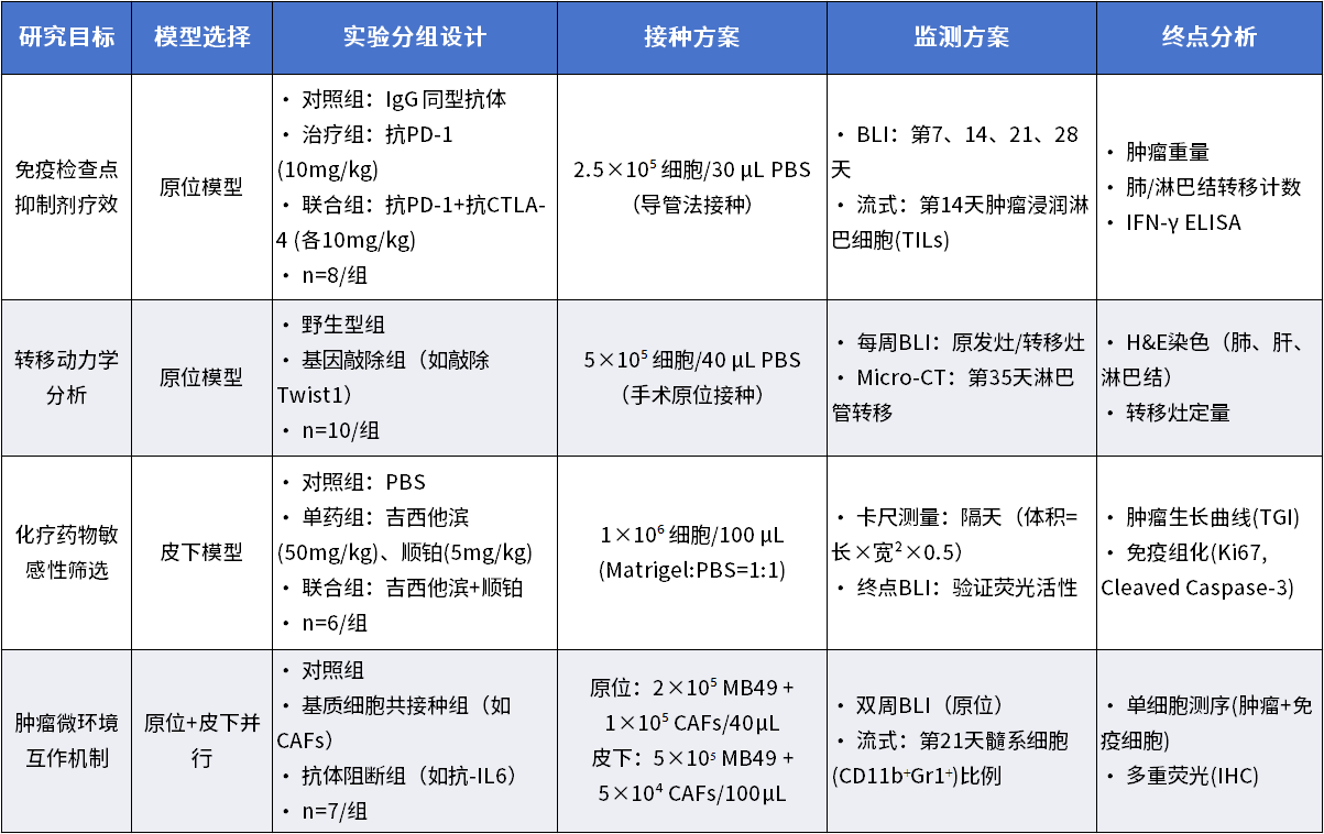 典型实验设计示例