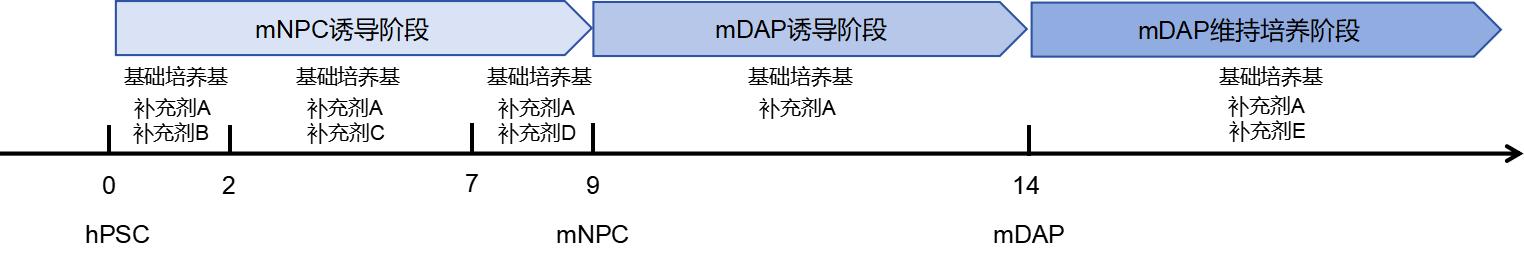 试剂盒分化流程图