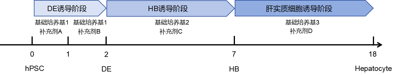 试剂盒产品分化流程图