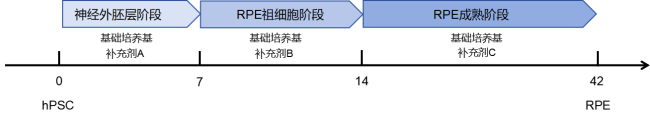 试剂盒产品分化流程图 