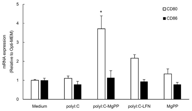 图6：DC2.4 细胞共刺激分子 CD80/CD86 的 mRNA 表达