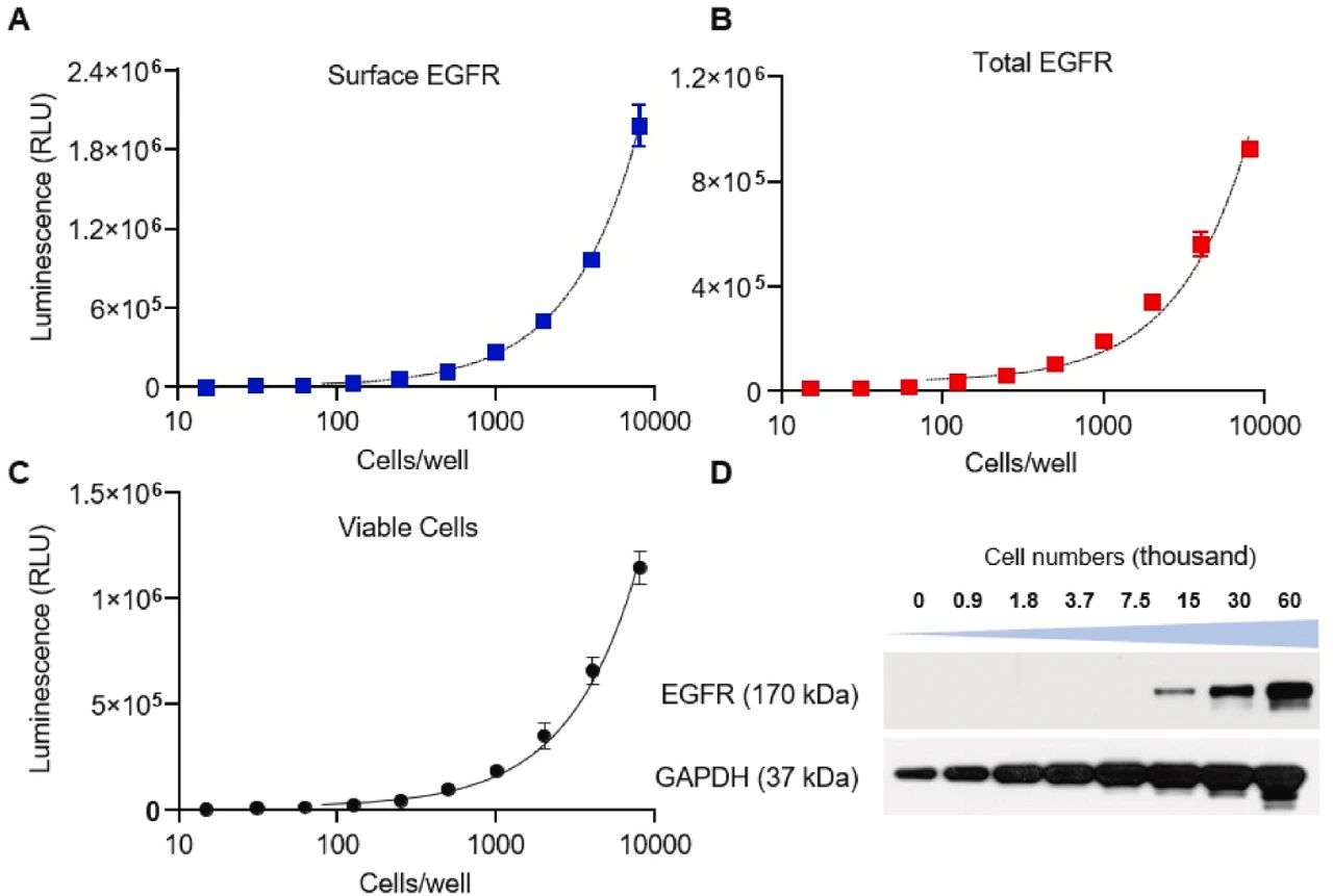 图2：EGFR 检测的细胞数量优化