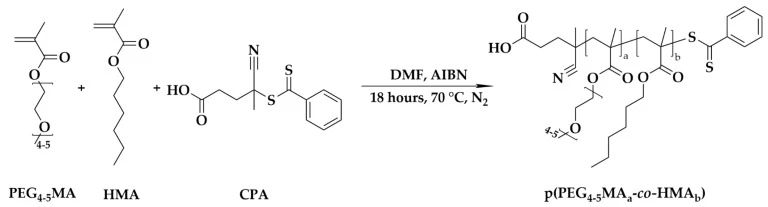 图1：p (PEG4-5MA-co-HMA) 作为大分子链转移剂的合成路线