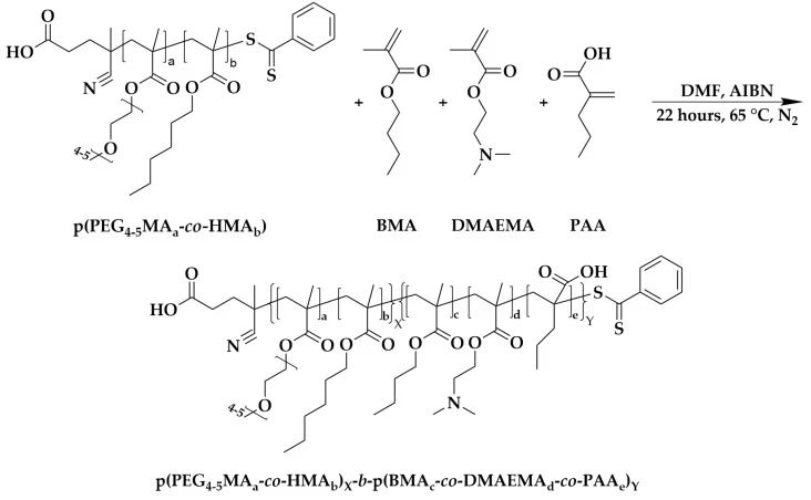图2：二嵌段共聚物 p (PEG4-5MA-co-HMA) X-b-p (BMA-co-DMAEMA-co-PAA) Y 的合成路线