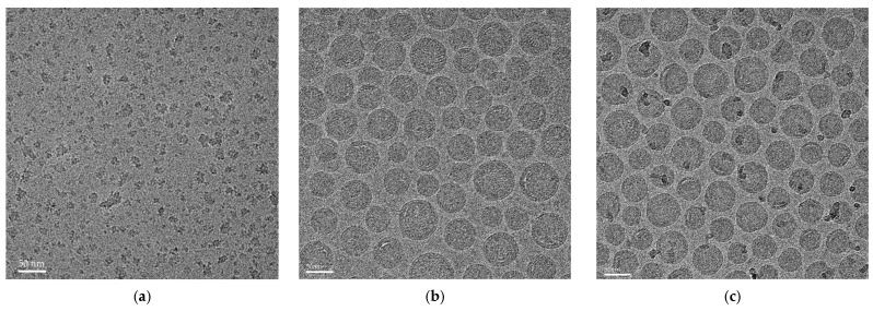 图3：cPM、SM102 LNP-mRNA 和 MC3 LNP-mRNA 的冷冻透射电镜(CryoTEM)图像