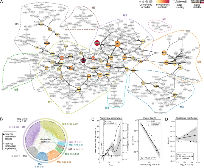 图 3：ATAC-seq 揭示 IAV 诱导的表观遗传印记