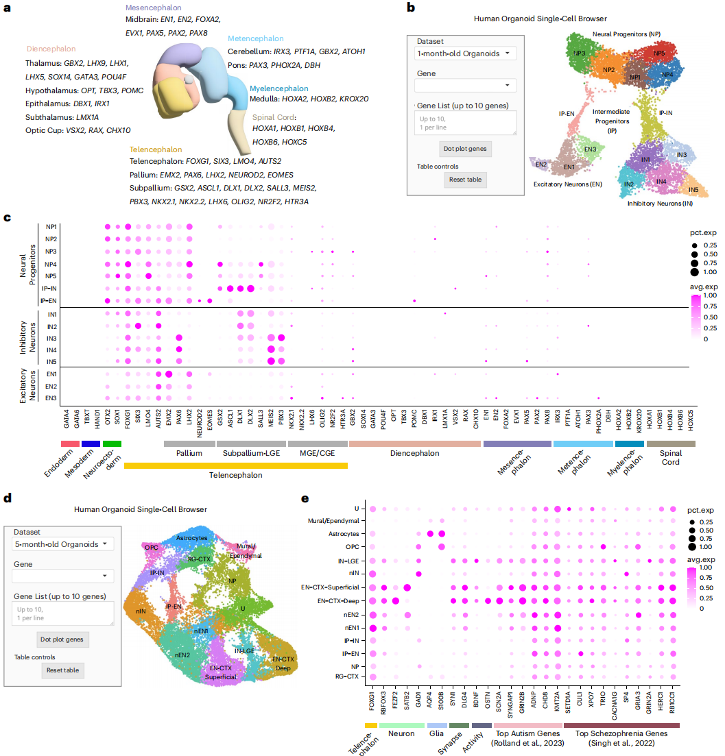图3.细胞组成的可重复性和多样性