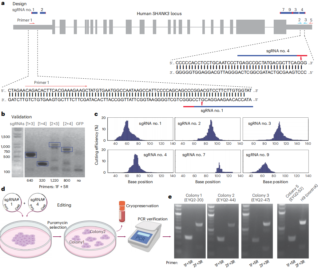 图6.疾病建模应用