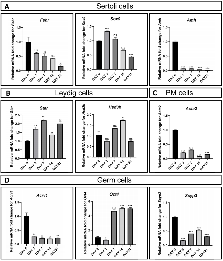 图4.基因表达谱分析和毒性评估