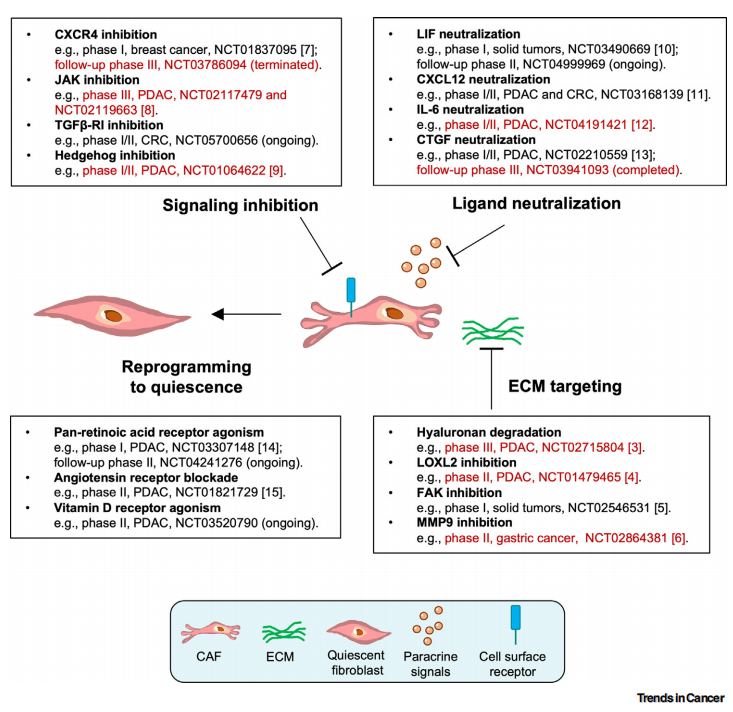Figure 1：LPHN-CRISPR 系统的制备与表征