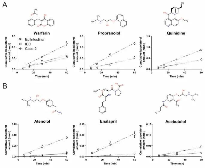 Figure 6：PFAS 转运的双向性分析
