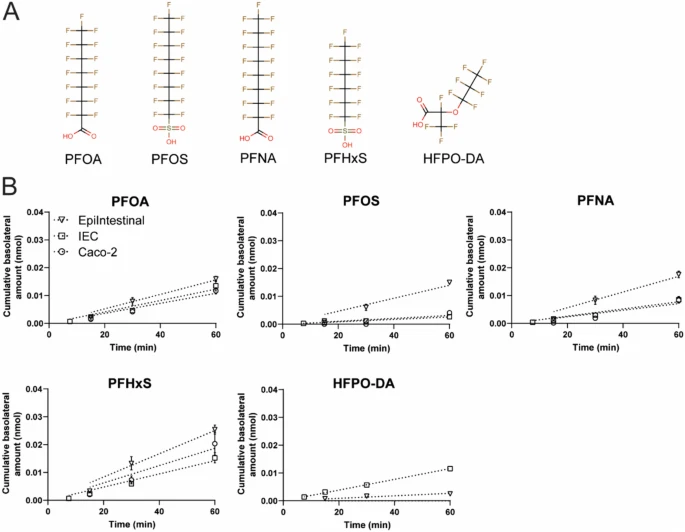 Figure 7：模型间 PFAS 转运效率的定量对比