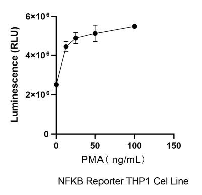 THP-1-NF-κB-Nluc-puro PMA激活验证实验图.jpg