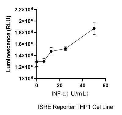 THP-1-ISRE-Nluc-puro INF-α激活验证实验.jpg