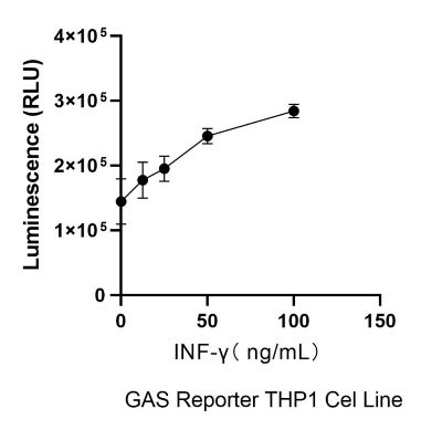 THP-1-GAS-Nluc-puro INF-γ激活验证实验图.jpg