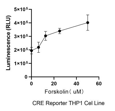 THP-1-CRE-Nluc-puro Forskolin激活验证实验图.jpg