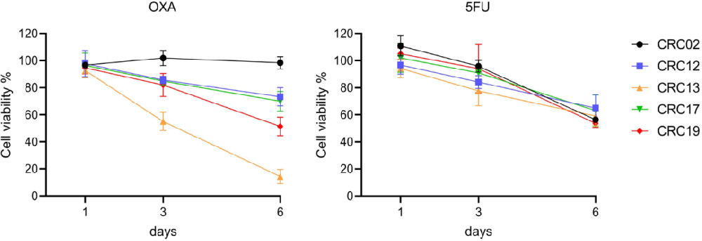 1,患者来源类器官对奥沙利铂和5-氟尿嘧啶的敏感性分析。