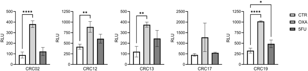 图3,细胞外ATP释放测定。