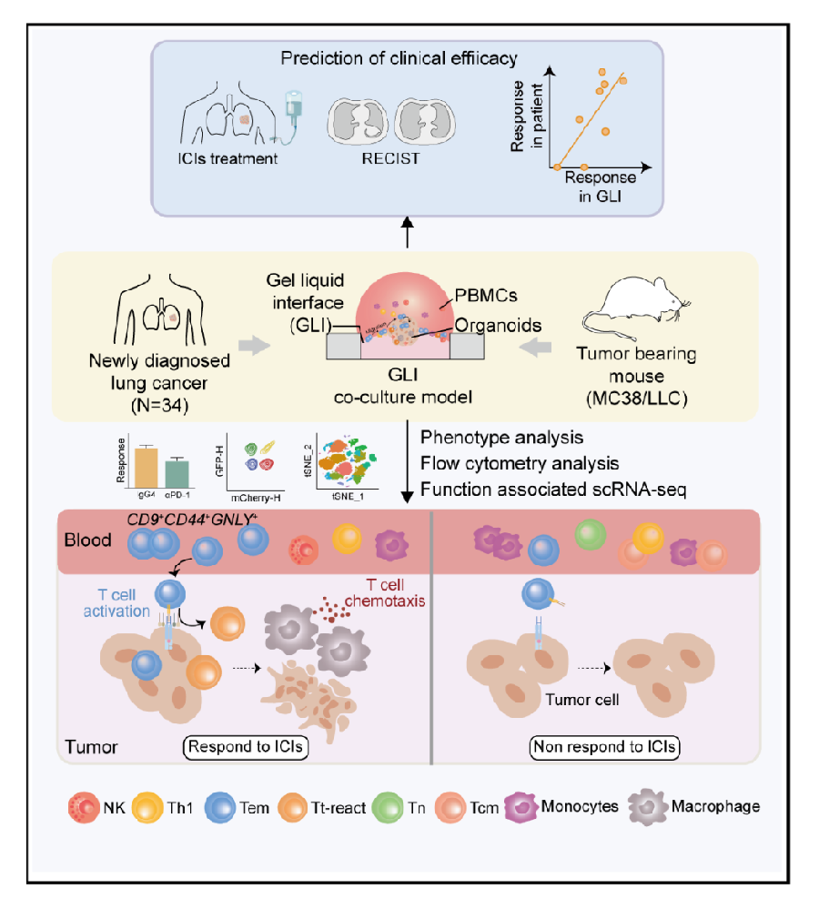 图1 流程示意图