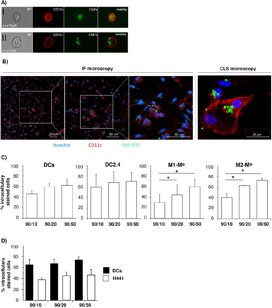 图1：不同抗原呈递细胞(APCs)对 CNPs 的摄取