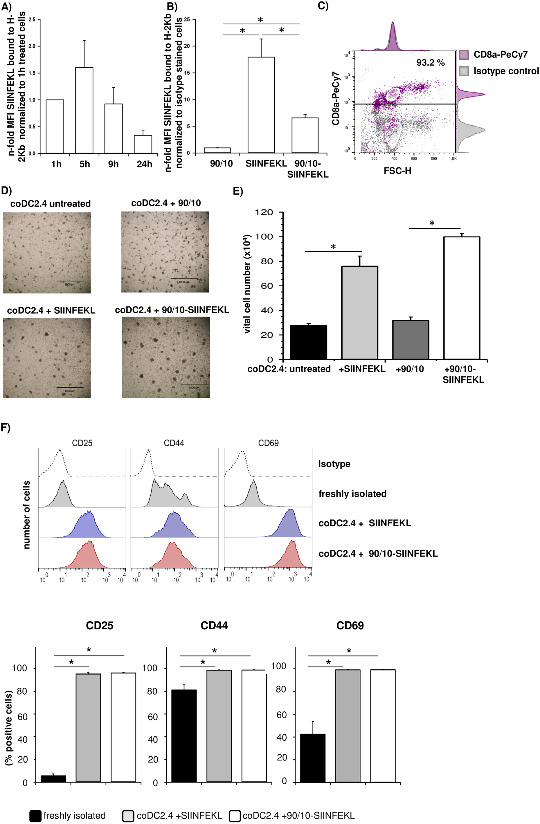 图4：负载抗原的 CNPs 激活 CD8⁺ OT-1 T 细胞