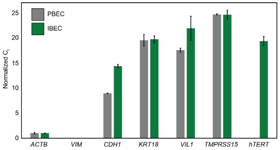 图 4：RT-qPCR 验证细胞表型