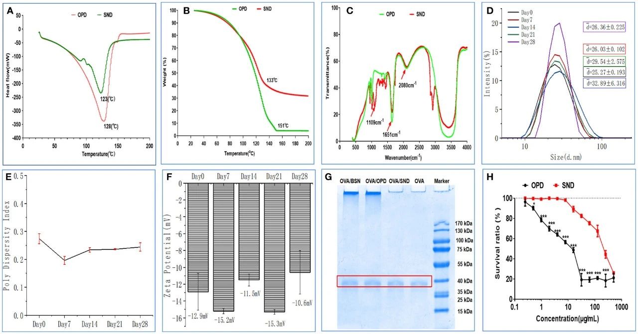 图2:SND 的稳定性、抗原相容性及细胞毒性
