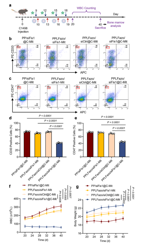 图9：不同治疗方案对急性髓系白血病(AML)复发的抑制效果评估。