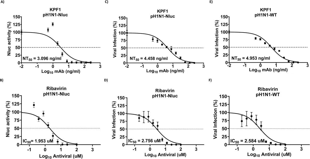图2：Nluc 报告系统用于中和抗体和抗病毒筛选