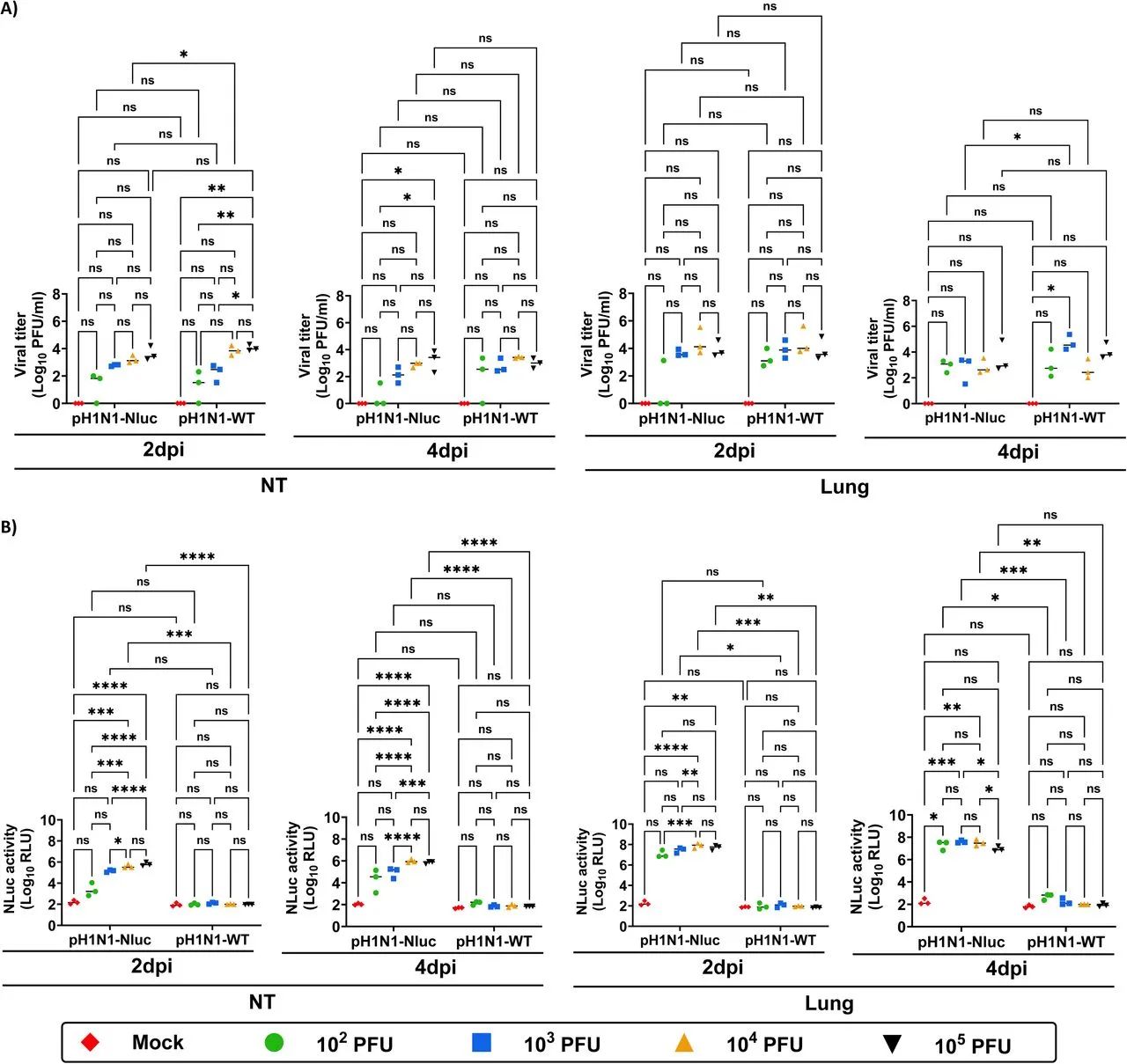 图6：小鼠组织中的病毒滴度与 Nluc 活性