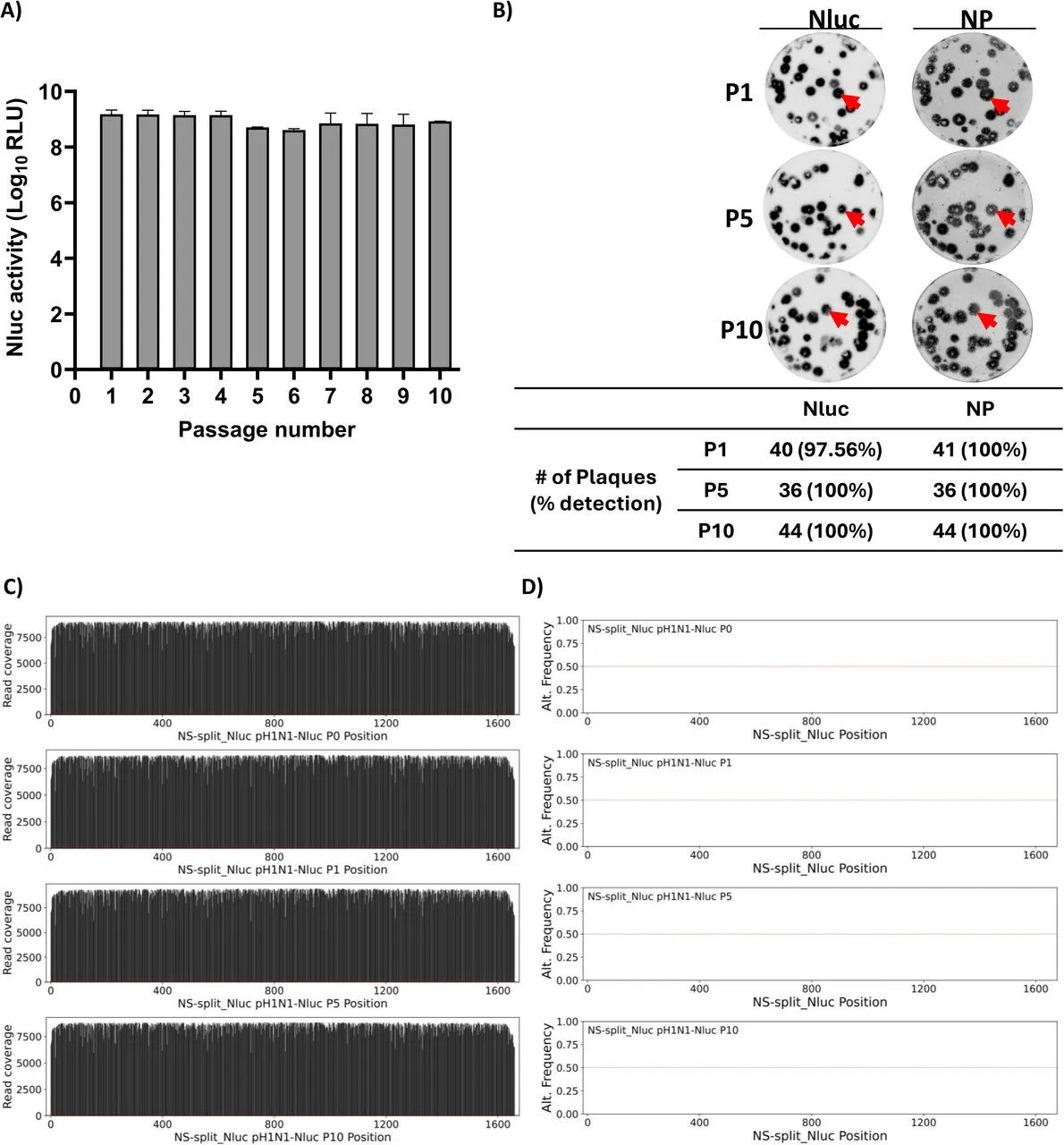 图9：pH1N1-Nluc 的稳定性