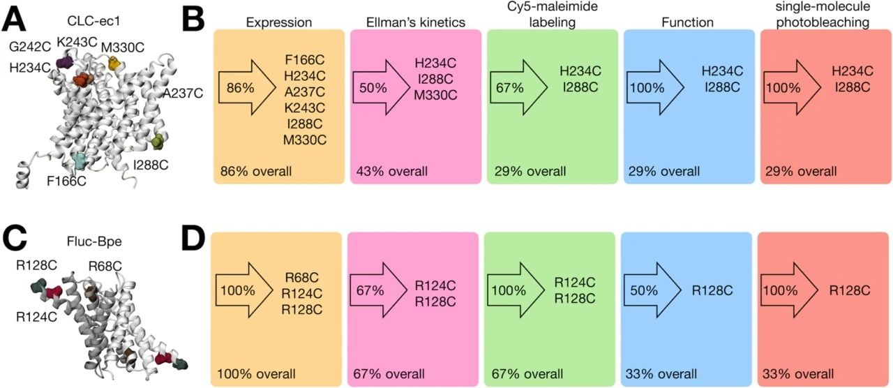 图8:筛选结果总结