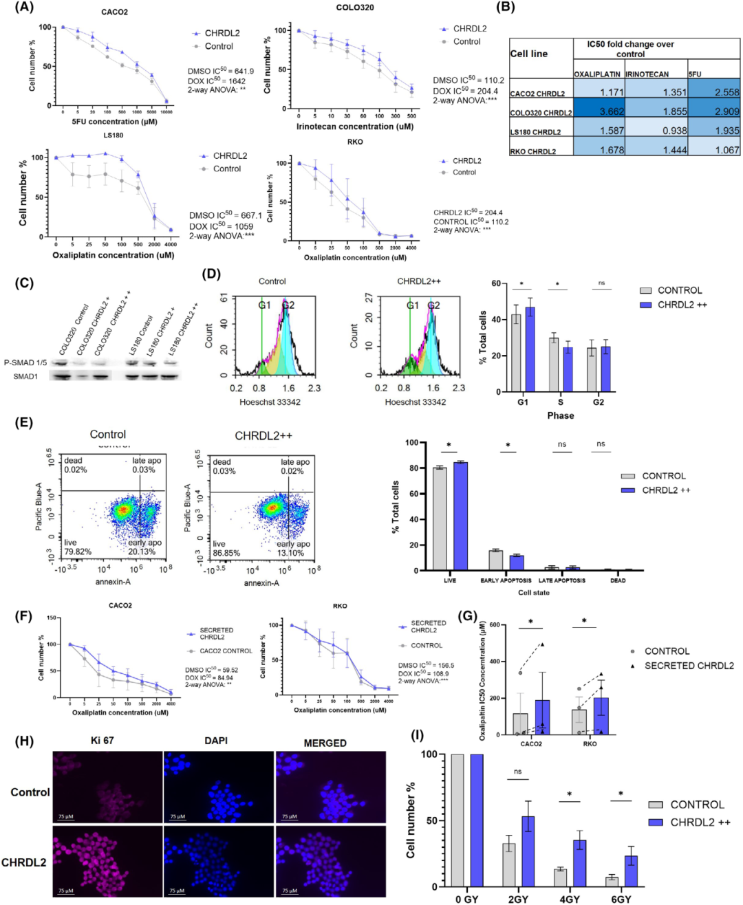 图2探讨了CHRDL2过表达对结直肠癌细胞耐药性的影响。