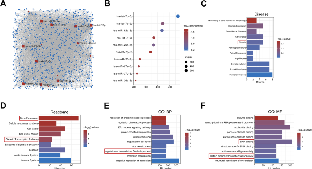 图4探讨了sEV中miRNA的抗纤维化作用。