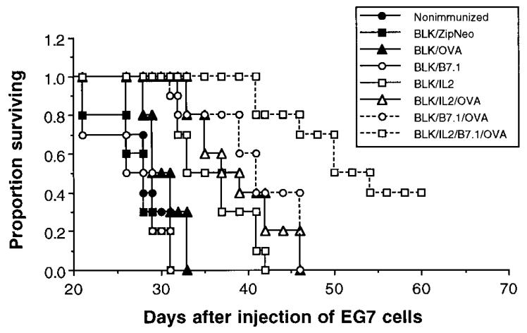 图3：BLK/IL2/B7.1/OVA 延长荷瘤小鼠存活