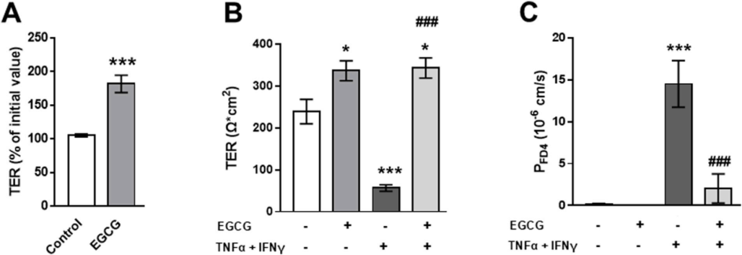 图5展示了EGCG在2D-类器官中对屏障功能及TNFα和IFNγ诱导的干扰的影响。