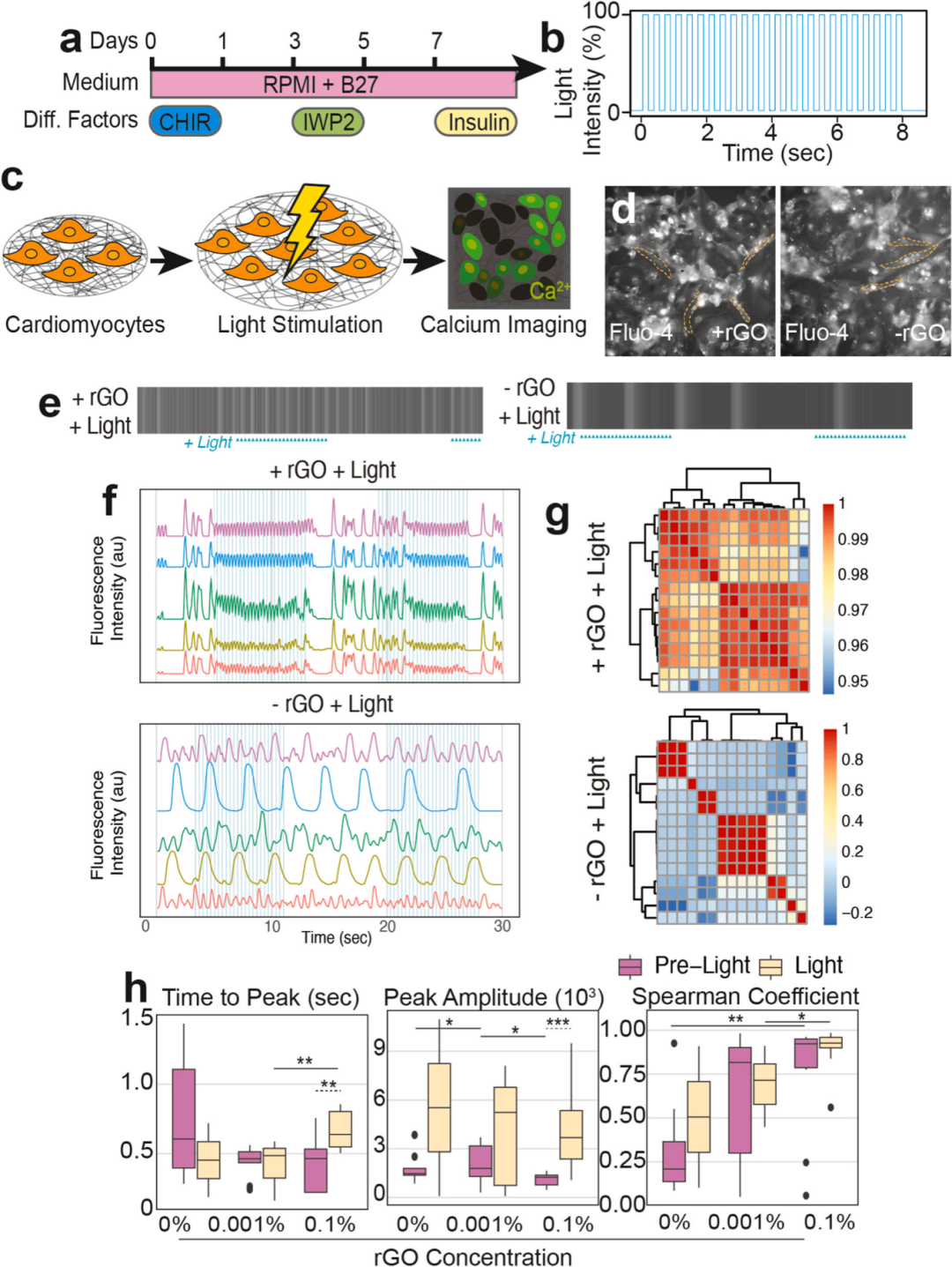图2展示了hPSC衍生的心肌细胞在rGO-PVA纤维上对光刺激的响应。