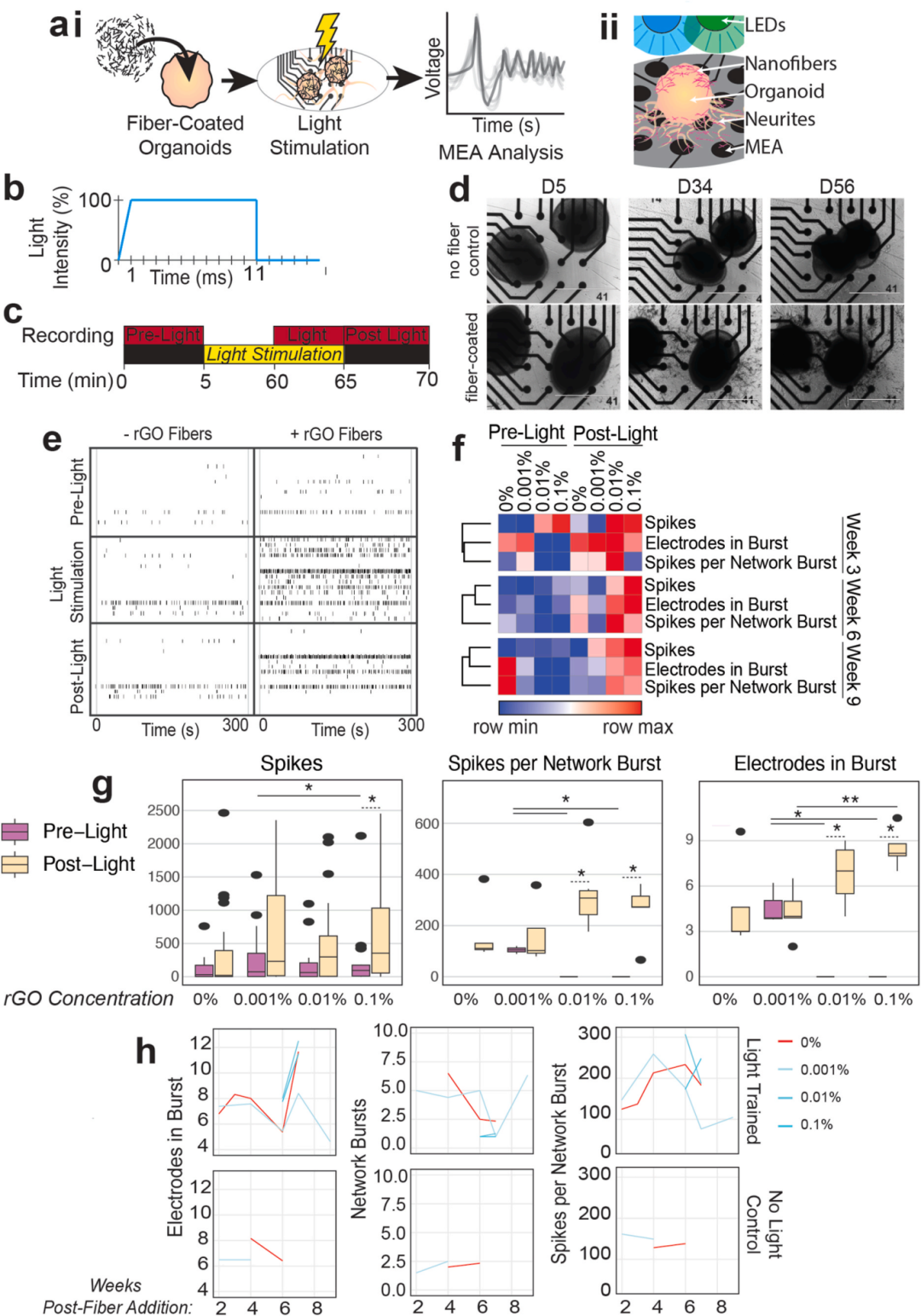 图4展示了长期光训练对脑类器官电活动的影响。