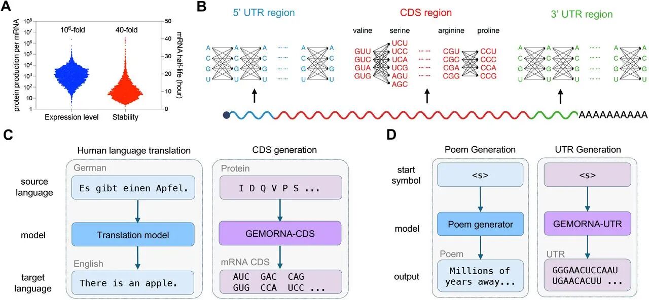 图1:GEMORNA 设计思路概述