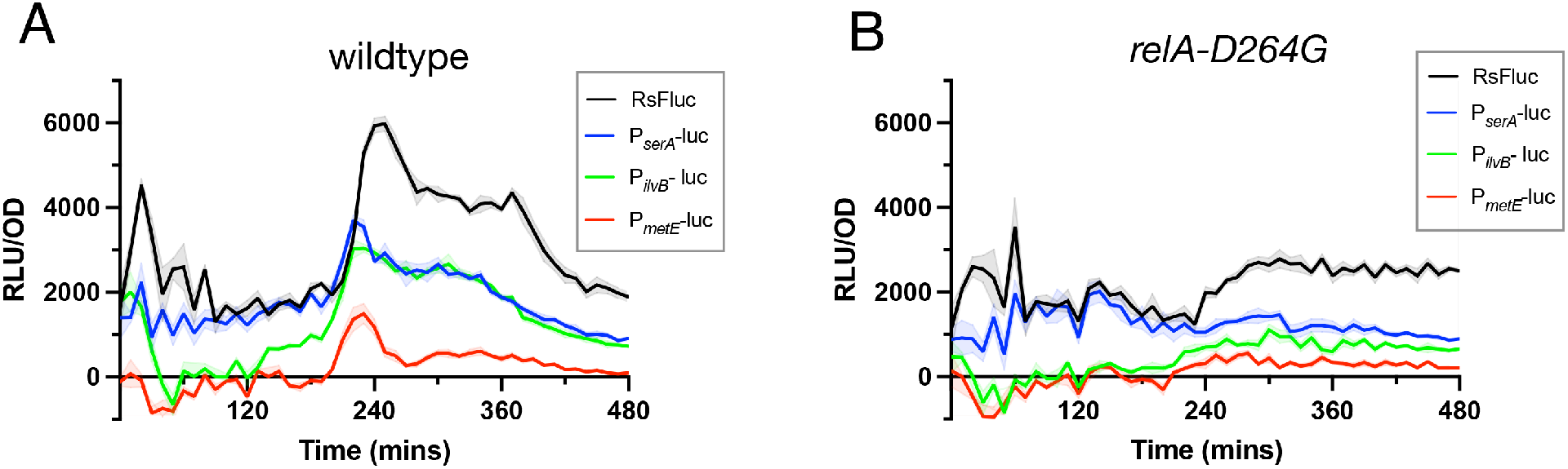 图7:(p) ppGpp 与氨基酸合成基因表达的时间关联